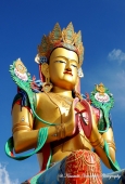 IIP Online Student Photography