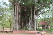 IIP Online Student Photography