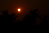 IIP Online Student Photography