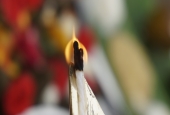 IIP Online Student Photography