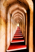 IIP Online Student Photography
