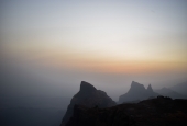 IIP Online Student Photography
