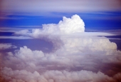 IIP Online Student Photography