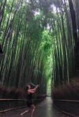 IIP Online Student Photography