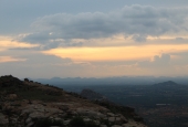 IIP Online Student Photography