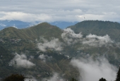 IIP Online Student Photography