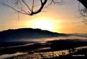 IIP Online Student Photography