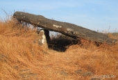 IIP Online Student Photography