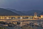 IIP Online Student Photography