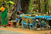 IIP Online Student Photography