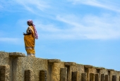 IIP Online Student Photography