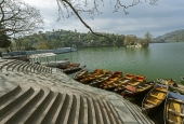 IIP Online Student Photography