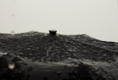 IIP Online Student Photography