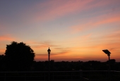 IIP Online Student Photography