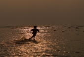 IIP Online Student Photography