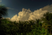 IIP Online Student Photography