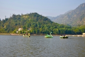 IIP Online Student Photography