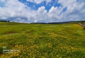 IIP Online Student Photography
