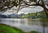 IIP Online Student Photography