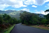 IIP Online Student Photography