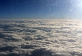 IIP Online Student Photography