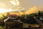IIP Online Student Photography