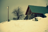 IIP Online Student Photography