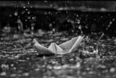 IIP Online Student Photography