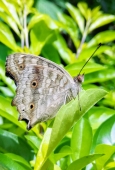 IIP Online Student Photography