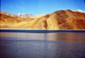 IIP Online Student Photography