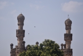 IIP Online Student Photography