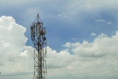 IIP Online Student Photography