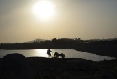 IIP Online Student Photography