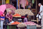 IIP Online Student Photography