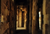 IIP Online Student Photography
