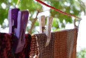IIP Online Student Photography