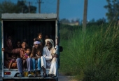IIP Online Student Photography