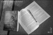IIP Online Student Photography