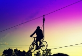 IIP Online Student Photography