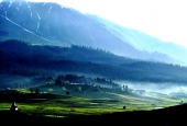 IIP Online Student Photography