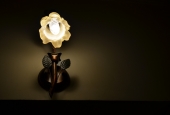 IIP Online Student Photography