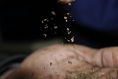 IIP Online Student Photography