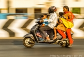 IIP Online Student Photography