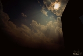 IIP Online Student Photography
