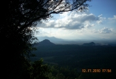 IIP Online Student Photography
