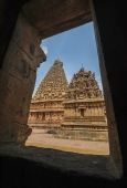 IIP Online Student Photography