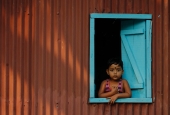IIP Online Student Photography
