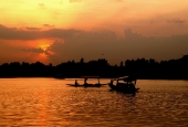 IIP Online Student Photography