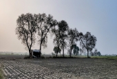 IIP Online Student Photography