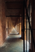 IIP Online Student Photography